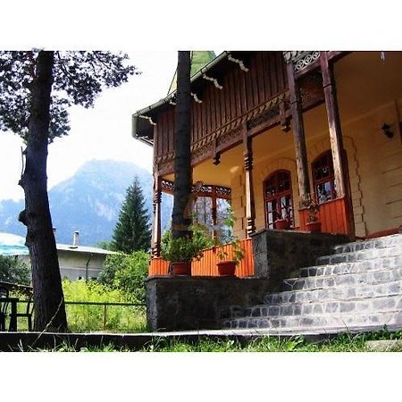 فندق بوستينفي  Casa Frasin المظهر الخارجي الصورة